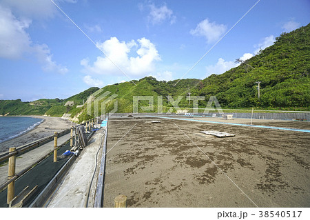 能登半島 輪島の塩田 能登半島 輪島の塩田 38540517