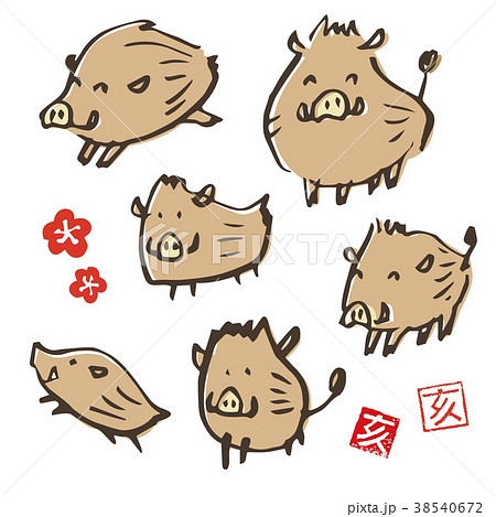 手書き 猪のイラスト 年賀状素材 干支動物のイラスト素材