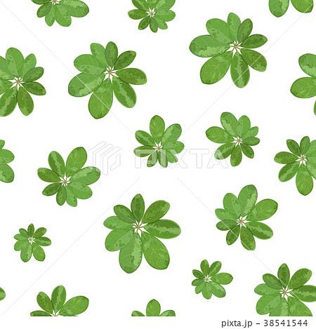 Floral seamless pattern. Background with isolated 38541544