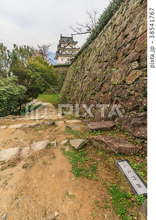 秋の宇和島城の風景 秋の宇和島城の風景 38541767