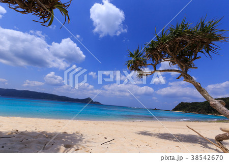 奄美大島 笠利湾崎原ビーチ 奄美大島 笠利湾崎原ビーチ 38542670