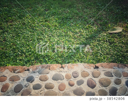 Grass field vintage style background with marble f Grass field vintage style background with marble f 38542806