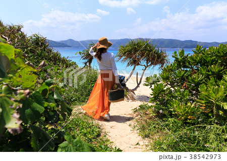 奄美大島　崎原ビーチ　ビーチピクニック 38542973