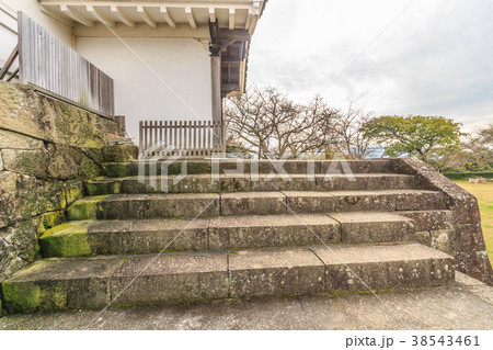 秋の宇和島城の風景 38543461