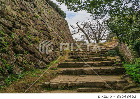 秋の宇和島城の風景 38543462