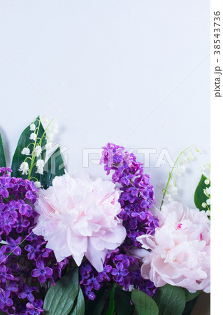 Floral borders on white Floral borders on white 38543736