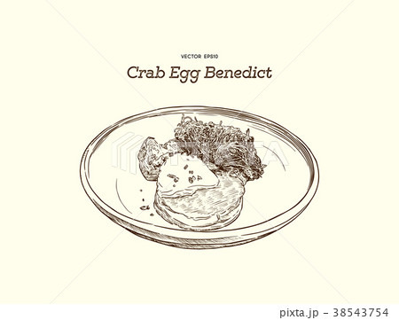 Crab Cake on top with egg Benedict. vector. 38543754
