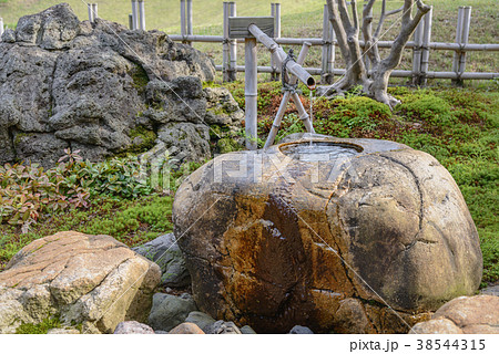 庭園の蹲 38544315