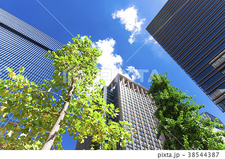 オフィス街の風景 オフィス街の風景 38544387