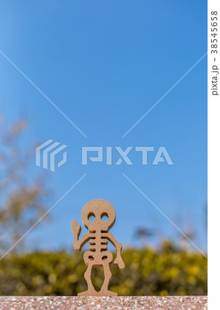 骸骨　イメージ 38545658