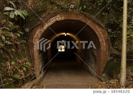 神奈川県 観音崎公園 第3砲台のトンネル 神奈川県 観音崎公園 第3砲台のトンネル 38546320