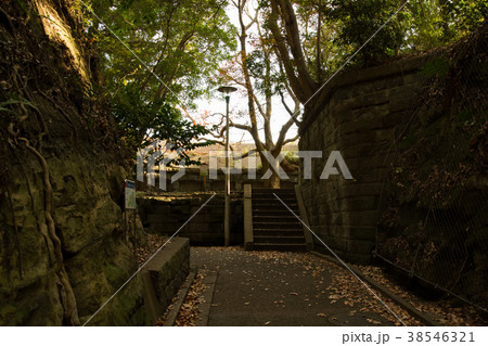 神奈川県　観音崎公園　第3砲台跡 38546321