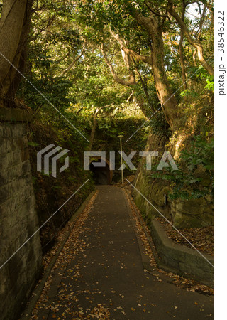 神奈川県 観音崎公園 第3砲台跡のトンネル 神奈川県 観音崎公園 第3砲台跡のトンネル 38546322