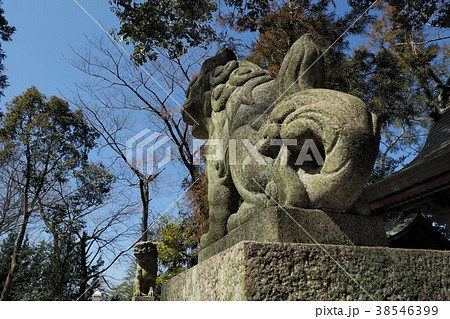 金峰神社の狛犬 金峰神社の狛犬 38546399