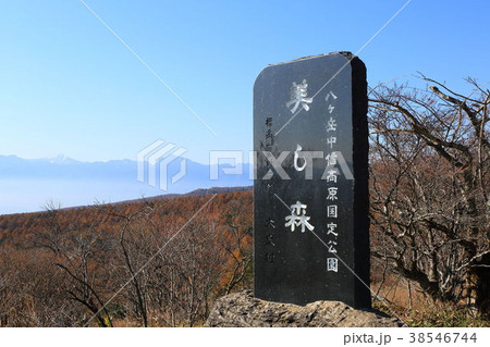 美し森展望台 美し森展望台 38546744
