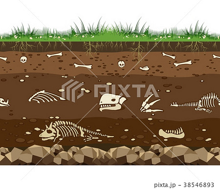 Soil With Dinosaur Bonesのイラスト素材