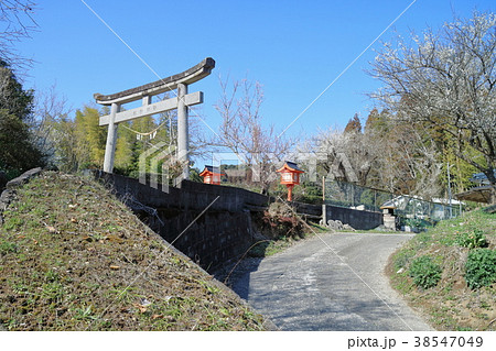 諏訪神社（鹿児島県薩摩川内市中郷町） 38547049