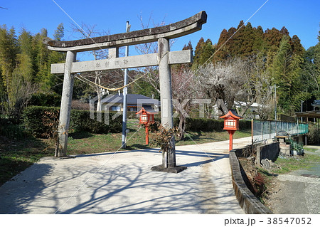 諏訪神社(鹿児島県薩摩川内市中郷町) 諏訪神社(鹿児島県薩摩川内市中郷町) 38547052