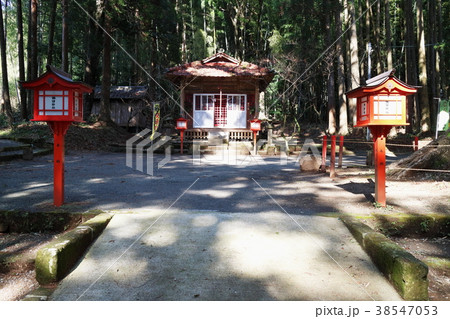 諏訪神社（鹿児島県薩摩川内市中郷町） 38547053