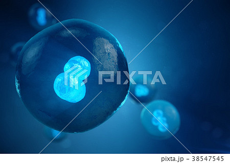 3D illustration Early stage embryo, Stem cell 38547545