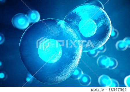 Human or animal cells on blue background. Concept Human or animal cells on blue background. Concept 38547562
