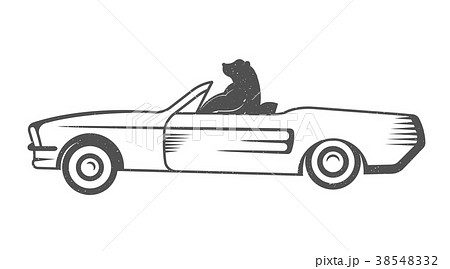 Vector Illustration Funny Bear 38548332