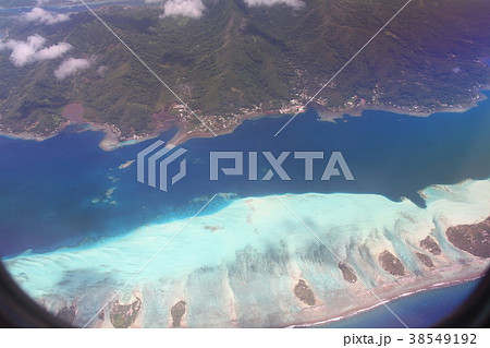 珊瑚礁　タヒチ　南太平洋 38549192