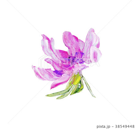 Hand painted modern style purple flower Hand painted modern style purple flower 38549448