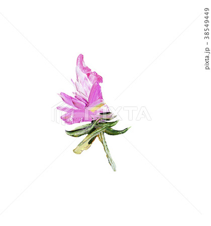 Hand painted modern style purple flower 38549449
