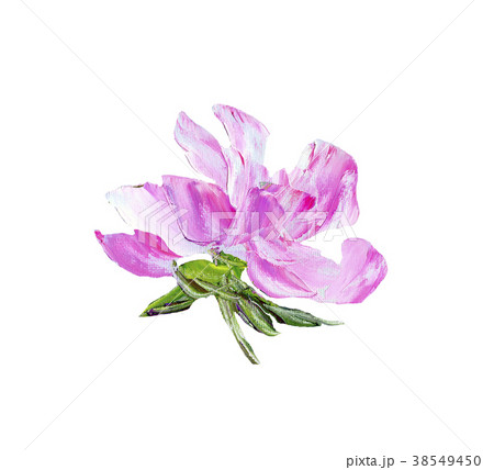 Hand painted modern style purple flower Hand painted modern style purple flower 38549450