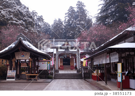 真岡市　大前神社 38551173