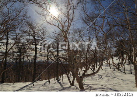 冬の日光白根山の登山道にて撮影した樹林帯 ( 栃木県日光市 2018年1月7日 ) 冬の日光白根山の登山道にて撮影した樹林帯 ( 栃木県日光市 2018年1月7日 ) 38552118