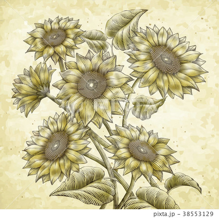 Retro Sunflower elements 38553129