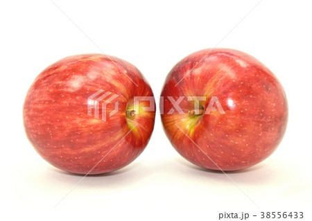 リンゴ（サンつがる） 38556433