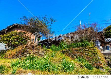 外海石積集落景観　ネリベイ建物と宅地石垣　ながさきサンセットロード　【長崎県長崎市外海町】 38556768