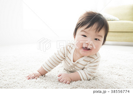 7ヶ月の赤ちゃんの写真素材