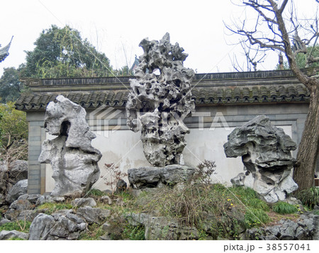 中国　上海市　豫園(よえん)　玉玲瓏の太湖石（たいこせき） 38557041