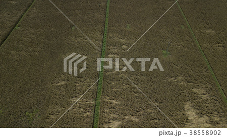 Country agricultural and farming field. Country agricultural and farming field. 38558902