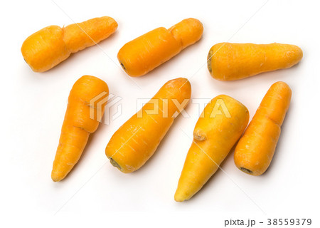 金美人参 金美人参 38559379