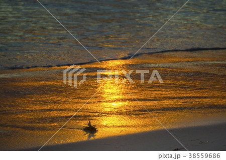 Golden sunset on the ocean shore. The sun is 38559686