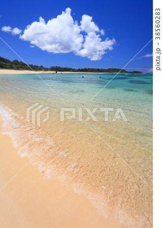 奄美大島 「土盛(ともり)海岸」 奄美大島 「土盛(ともり)海岸」 38560283