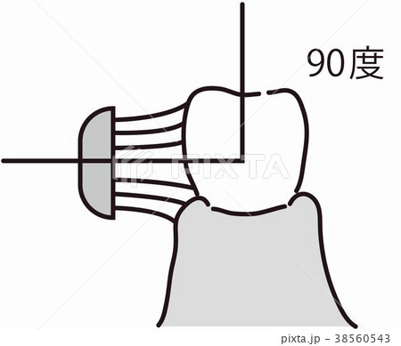 医療　歯科　歯ブラシ　角度90　イラスト 38560543