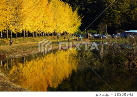 槐山郡 忠清北道 38560942