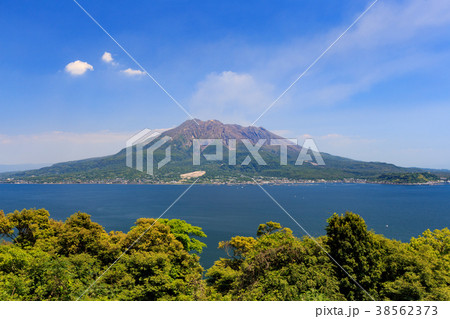 集仙台からの桜島 -薩摩藩主が足繁く通った展望台より- 38562373