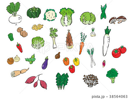 野菜の詰め合わせ 38564063