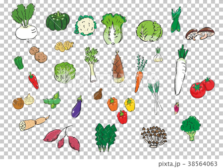 野菜の詰め合わせ 38564063