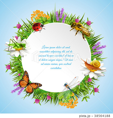 Insects Round Frame 38564188