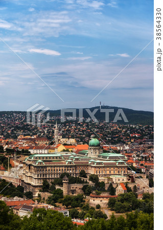 Buda Castle in Budapest Buda Castle in Budapest 38564330