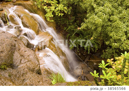 Milky water fall, Sawantawadi 38565566
