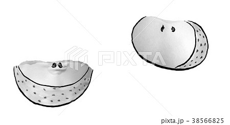 青りんご　カット　水墨画 38566825